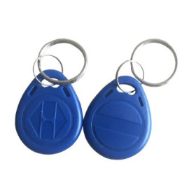 BLANC TAGS 125KHz RFID 